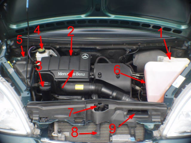 Can you put water in the engine coolant?